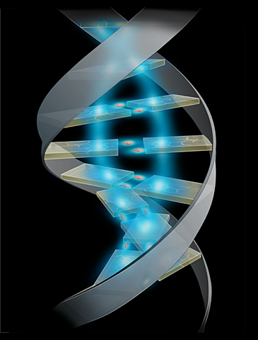 Genome